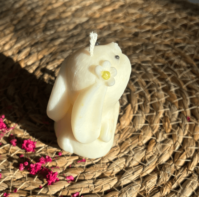 Lapin chocolaté 