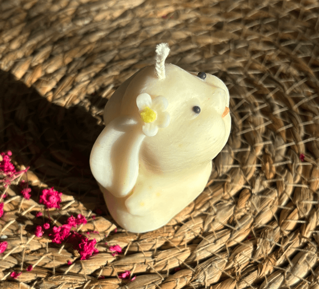 Lapin chocolaté 